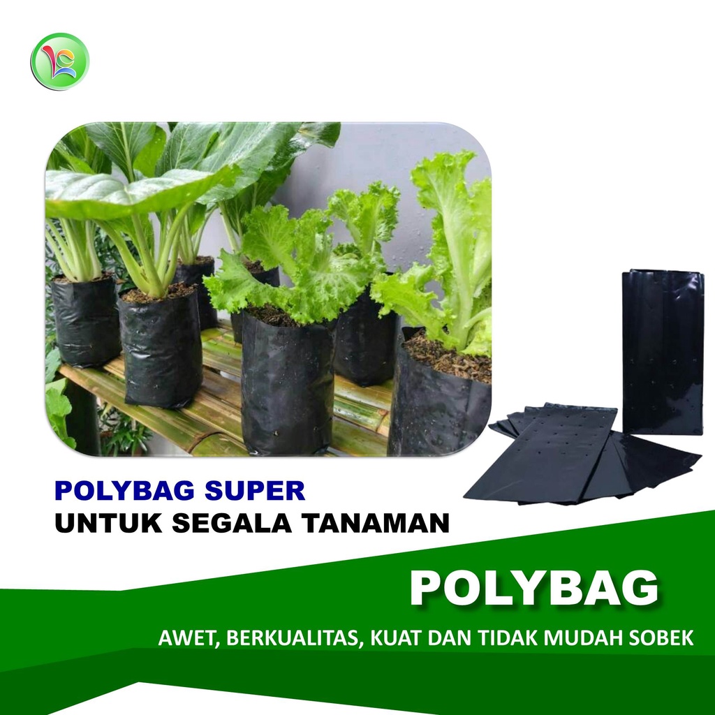 Polybag Polibag Polibek Polybag Tanaman Polybag Bibit Polybag 18x18 dan Polybag 35x45 Harg Per KG