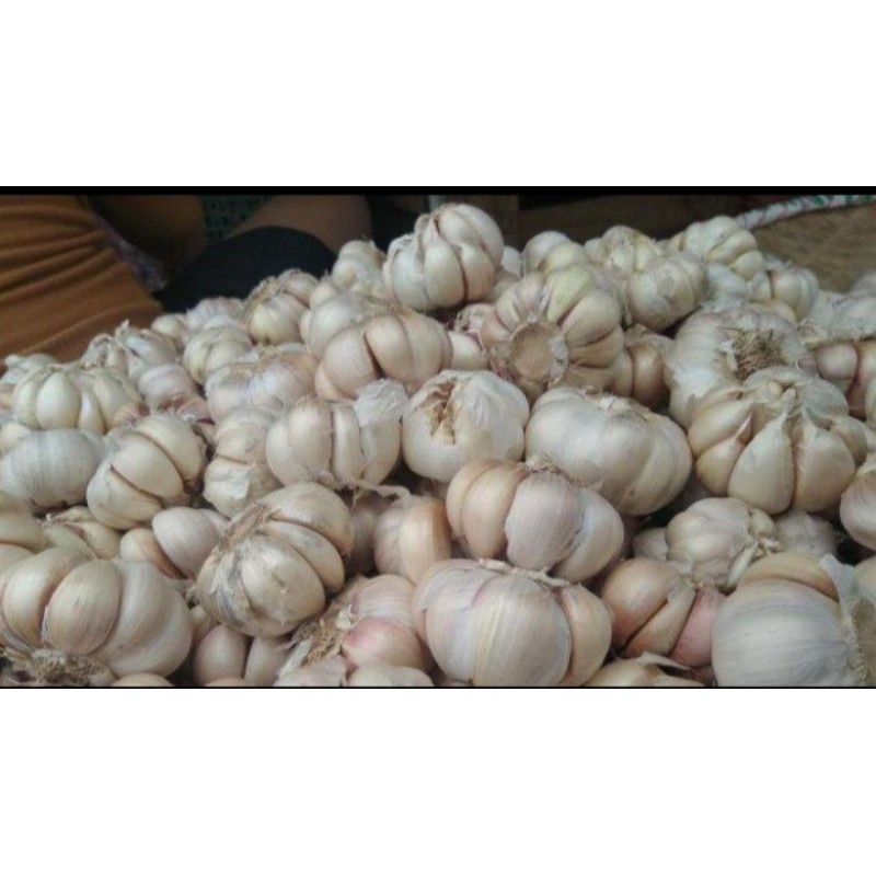 

bawang putih murah 1/4 kg
