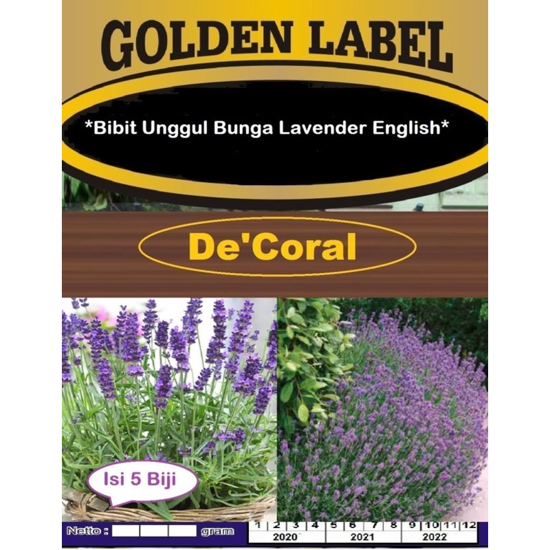 Bibit Unggul Bunga Lavender English | Benih Bunga Lavender English