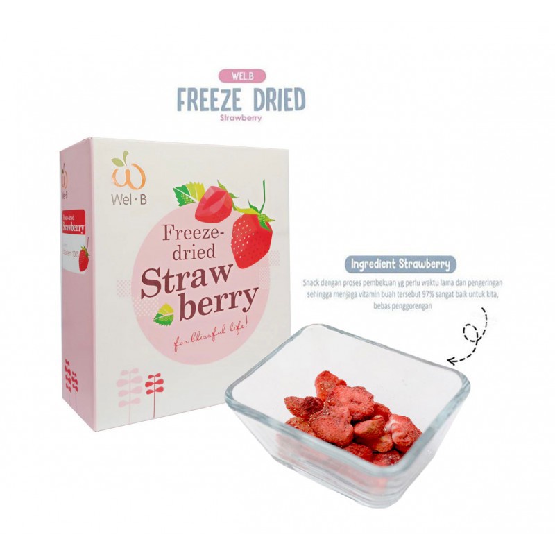 Wel-B Freeze-Dried Strawberry 25gr Baby Snack Snek Buah Bayi