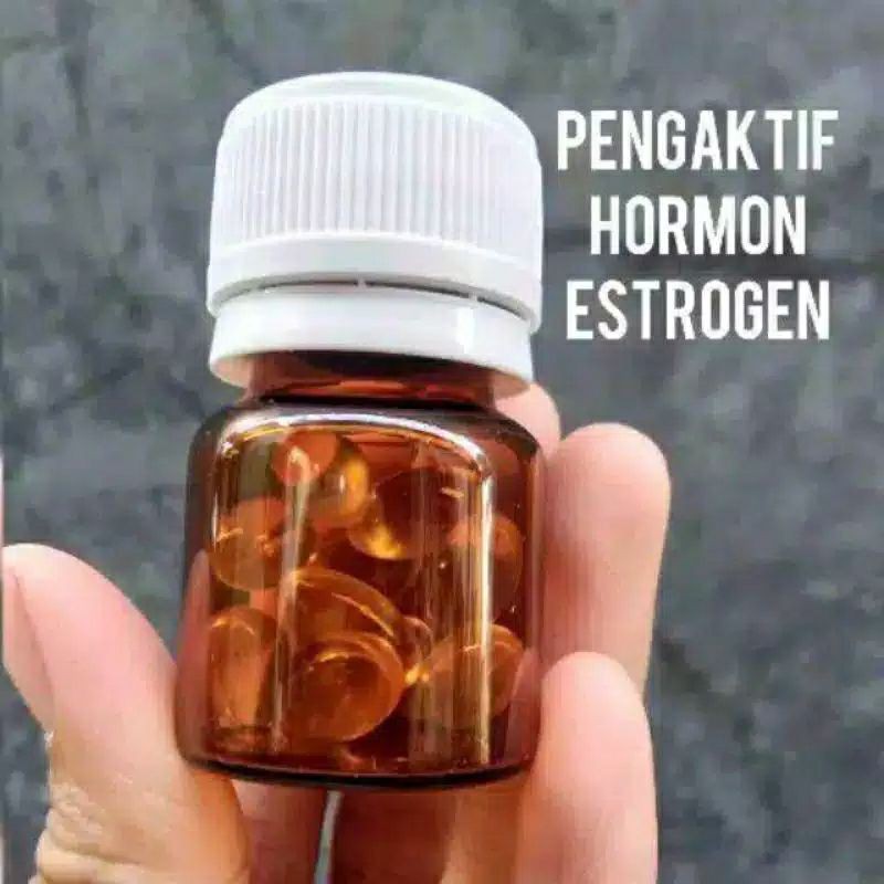 HORMON ESTROGEN/PENGAKTIF HORMON//ORIGIONAL