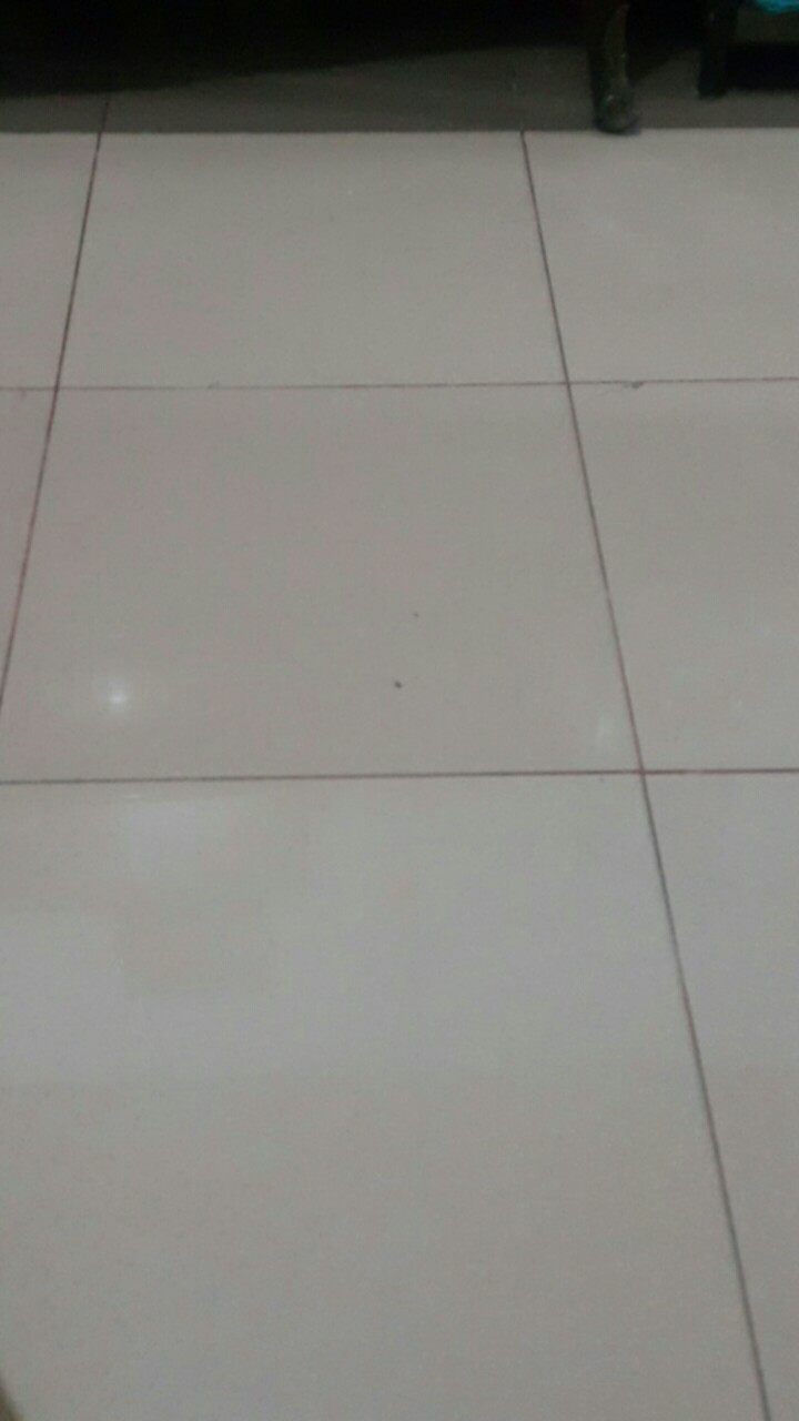 Pupuk Kompos Kotoran Kambing