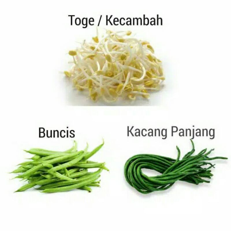 

Tauge / Buncis / Kacang panjang