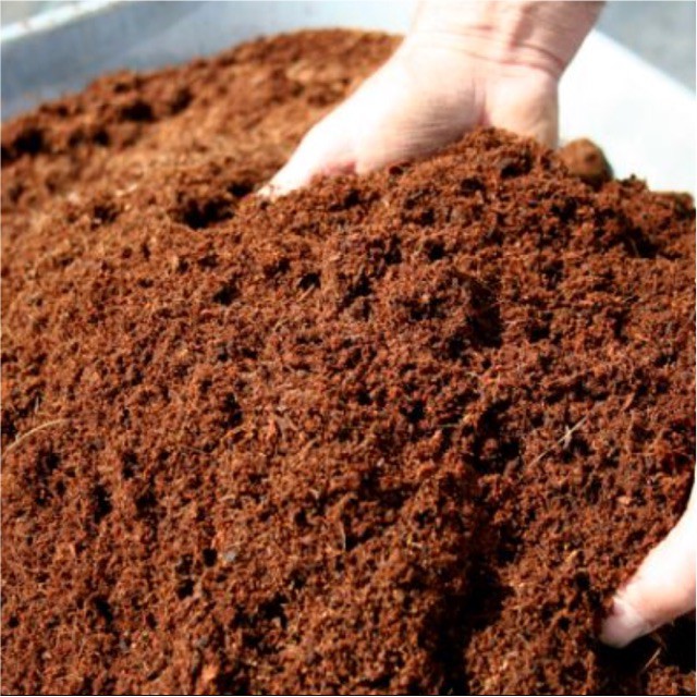 Media Tanam Cocopeat/Sabut Kelapa Murni 1kg