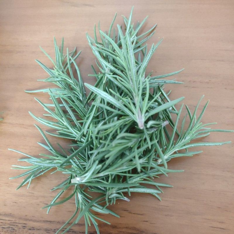 

daun rosemary kering 5gr