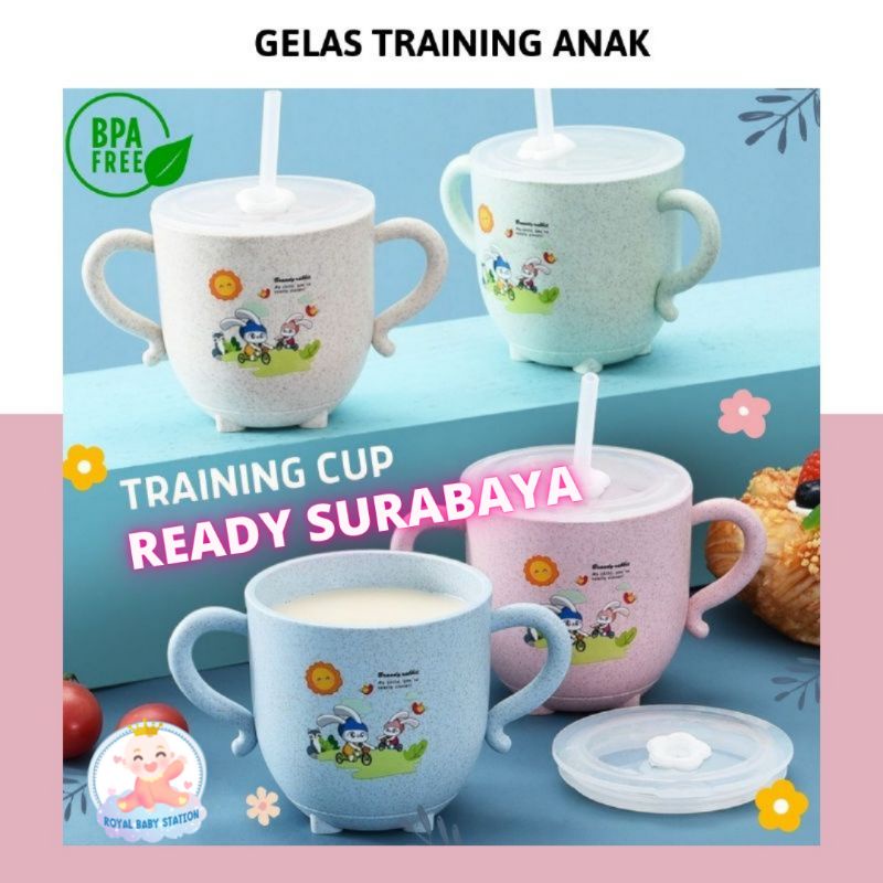 Gelas Anak Training Cup Bayi Lucu Karakter free sedotan 270ml