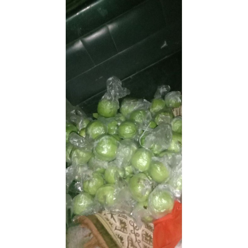 

jambu kristal putih