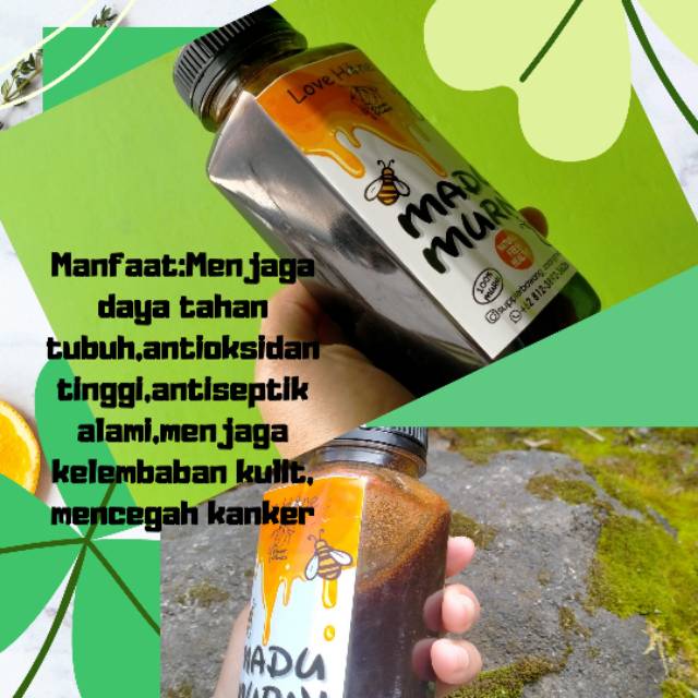

Madu hutan akasia