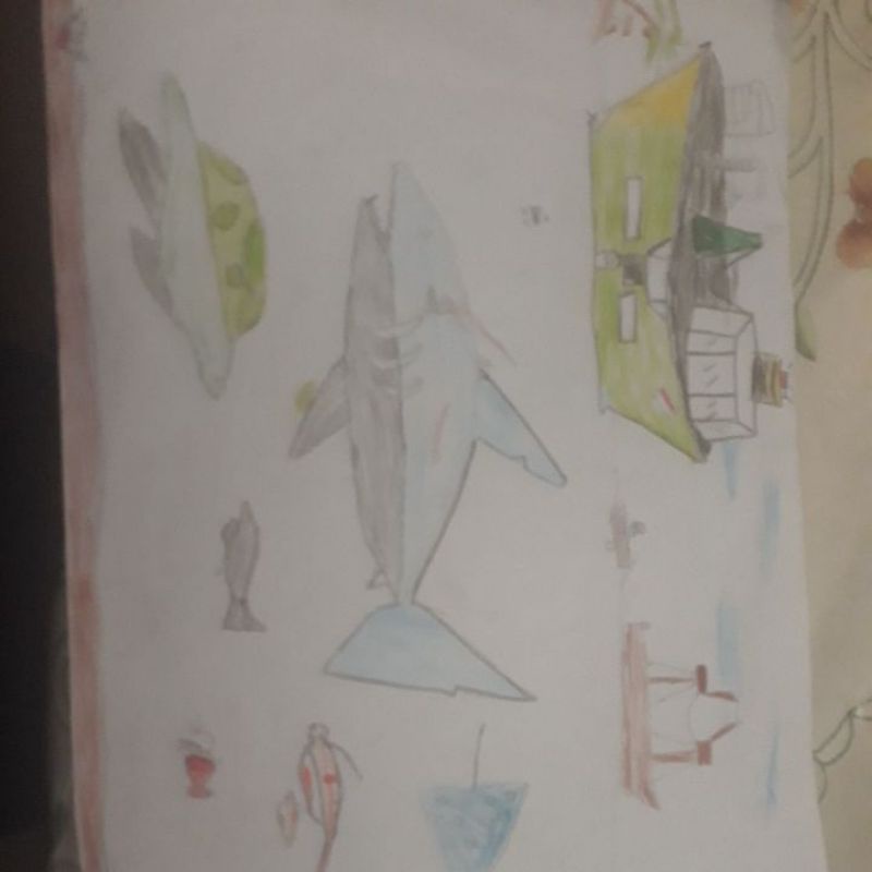 

sketsa gambar hiu