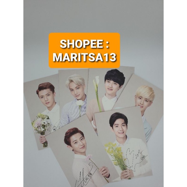 Preloved EXO-K x Nature Republic Official Postcard