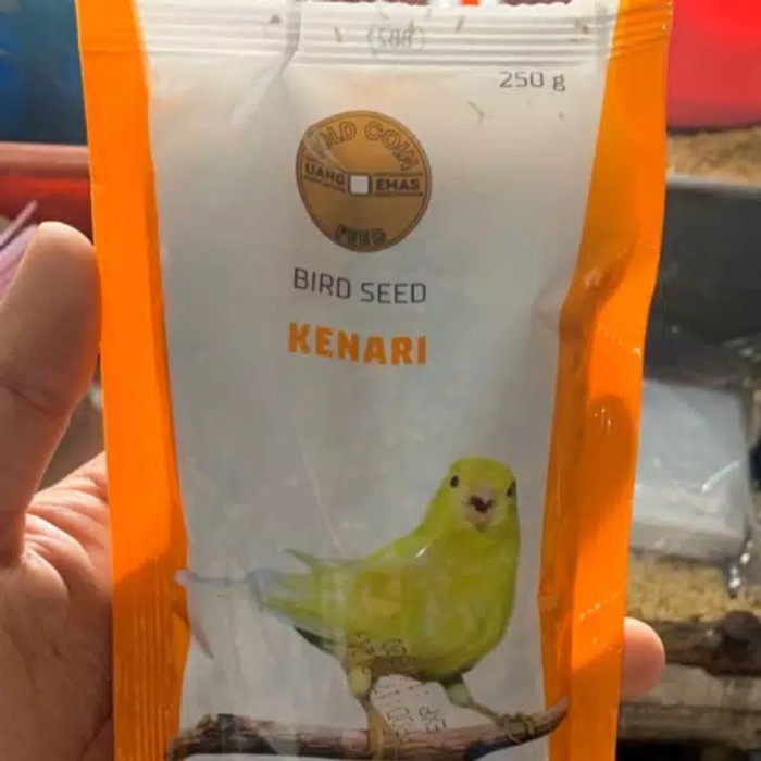 GOLD COIN KENARI /PAKAN KENARI ~BERKUALITAS~