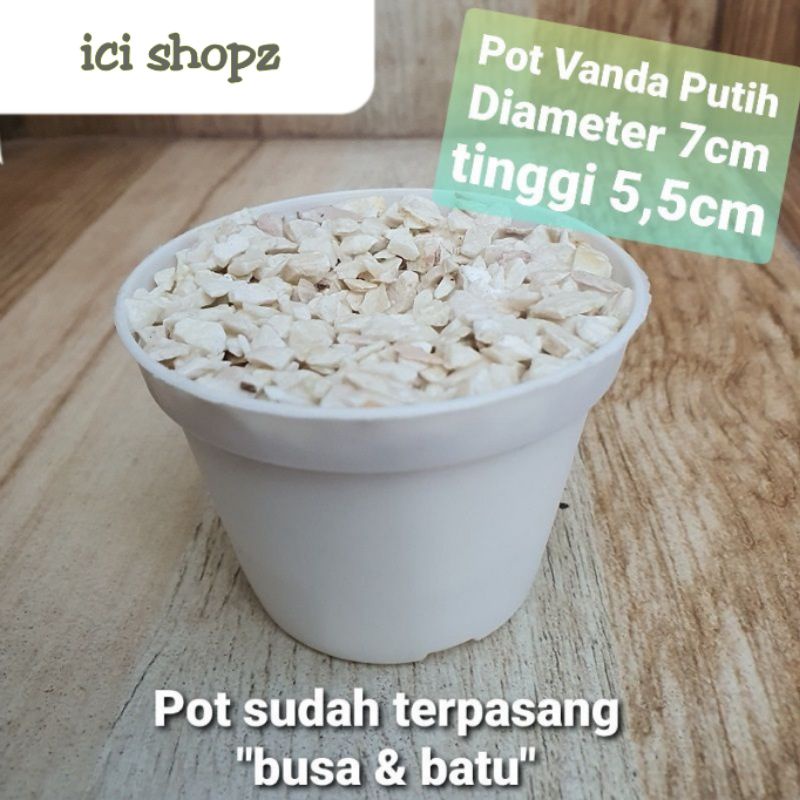 Pot Mini / Pot Instant / pot vanda
