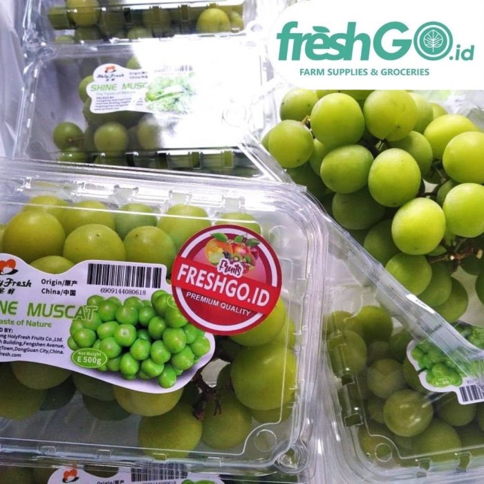 

Anggur Shine Muscat import 500gram per pack | FRESHGO