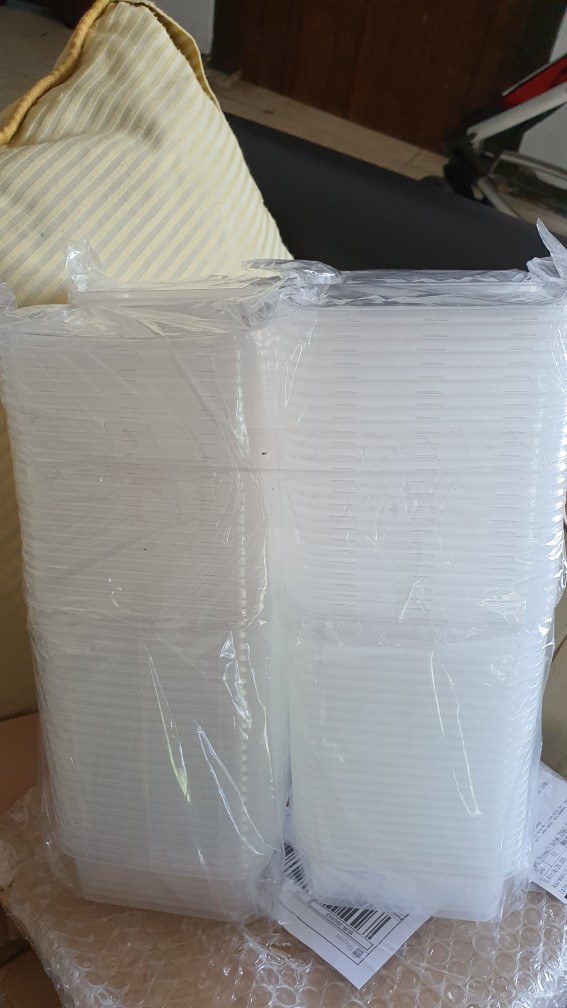 Thinwall Kotak 250ml 300ml 200ml Isi 25 Mika Plastik Dm Tempat Bumbu Wadah Cantik Tempat Slime