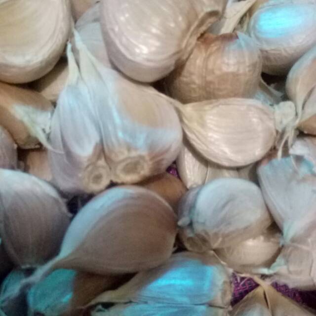 

Bawang putih kating bersih