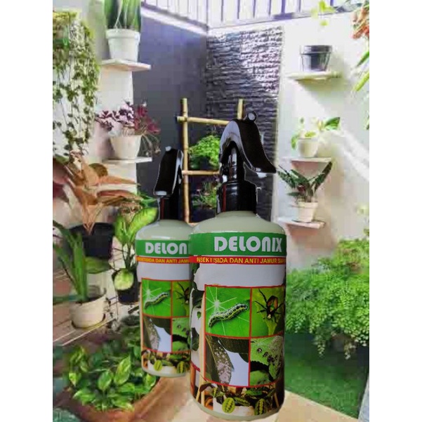 DELONIX obat hama kutu putih PEMBASMI Semua HAMA TANAMAN