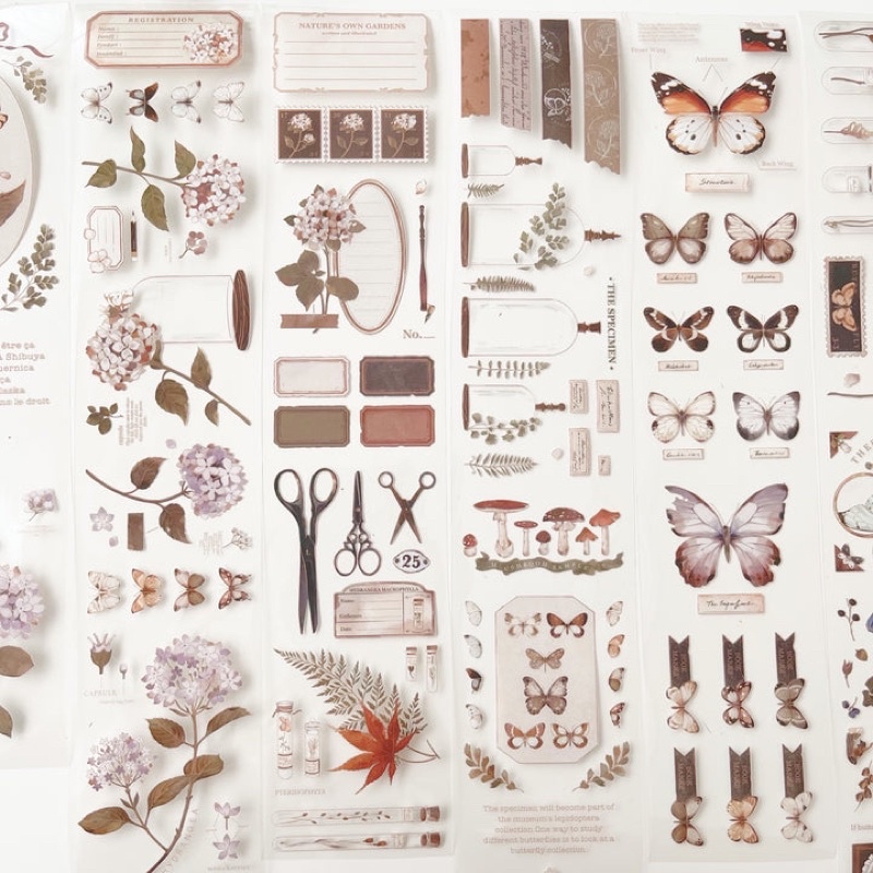 

Deer Studio Vintage Specimen Washi & PET Tape