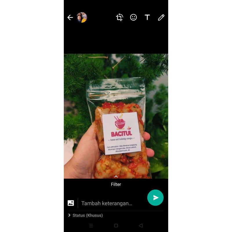 

bacitul ( baso Aci tulang rangu )