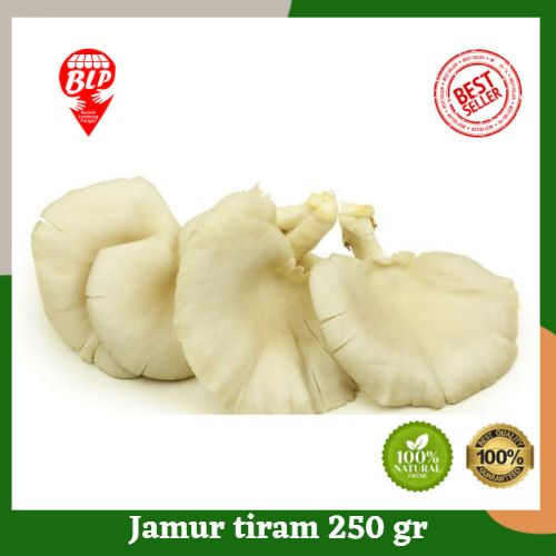 

Jamur Tiram 250 gr Berkah Lumbung Pangan