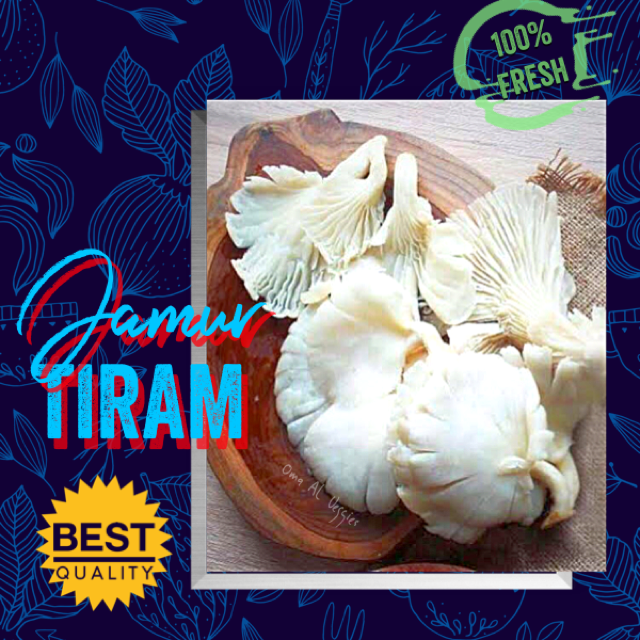 

JAMUR TIRAM / FRESH OYSTER MUSHROOMS PER 250 Gr SAYURAN SEGAR