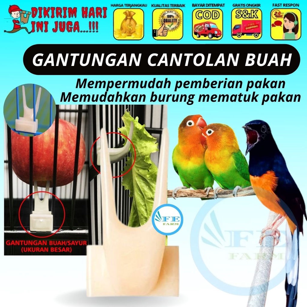 GANTUNGAN CANTOLAN UKURAN KECIL PENGAIT BUAH PISANG APEL SAYUR SAWI SANGKAR BURUNG FEFARM