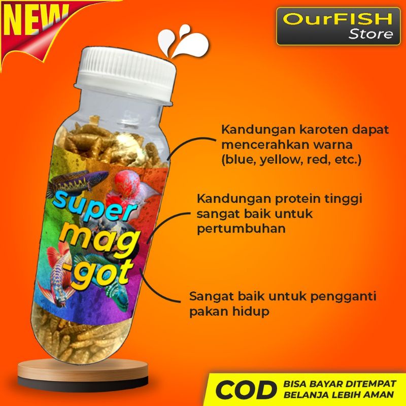 Magot Maggot Super with Betta Carotene pakan Chana maru Yellow sentarum blue Pulcra