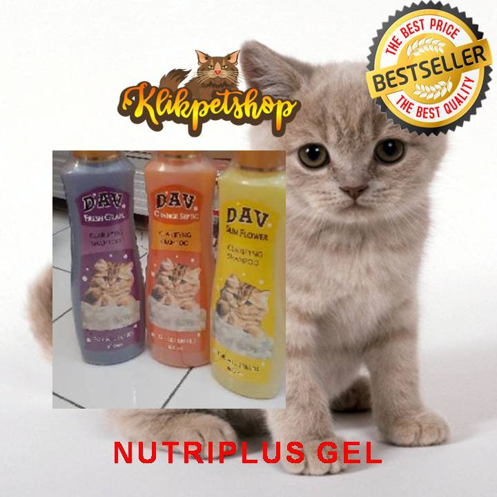 Shampoo Kucing Dav 600 mL Wangi Lembut