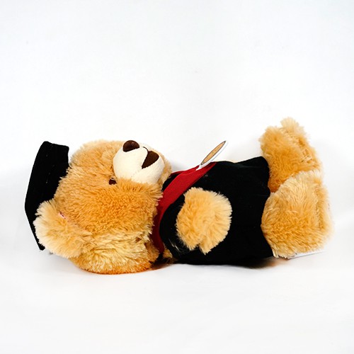 Boneka Wisuda Beruang Teddy Bear Istana Boneka STD Boney Bonita Toga S Lucu