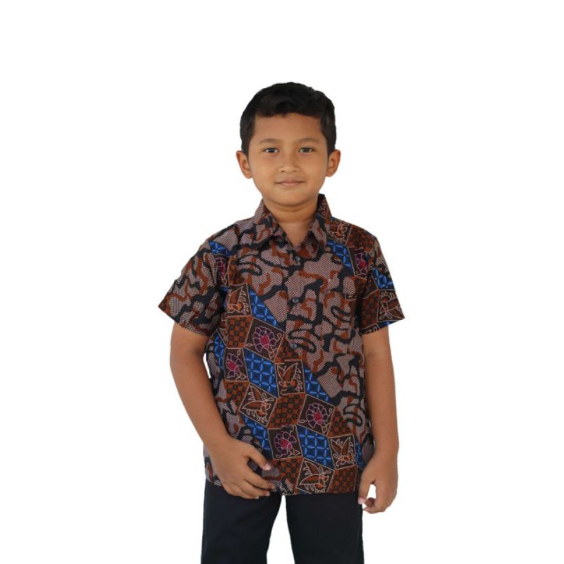 Kemeja Batik Anak - batik anak - baju batik anak laki laki umur 2-12 tahun hem batik anak pendek