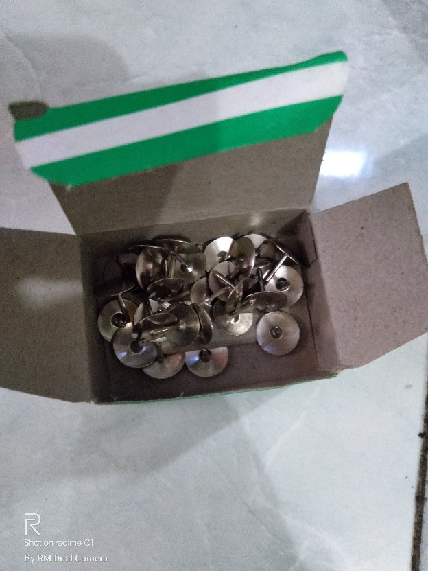 Paku Payung Kecil Paku Pines Paku Jaring Nyamuk Paku Karpet Paku Kecil