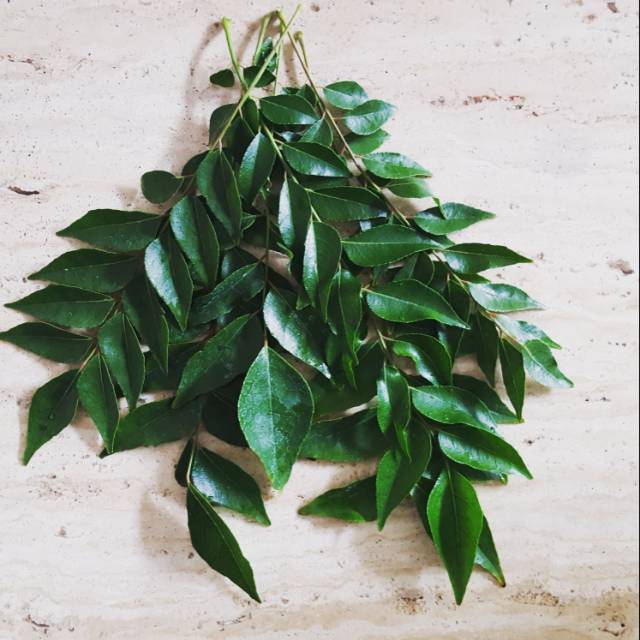

Daun kari (curry leaf)