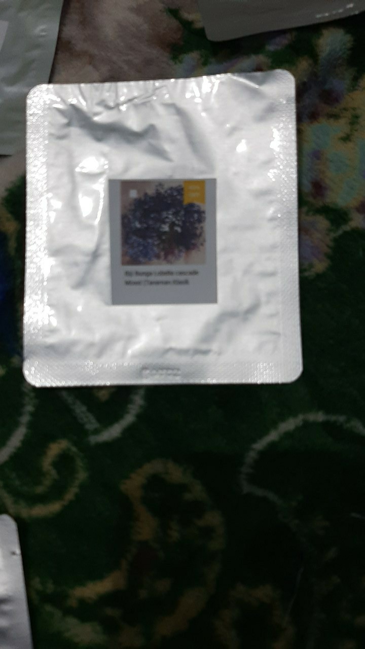 Biji Benih Bunga Lobelia Cascade Mixed  (tanaman Klasik Untuk Keranjang)