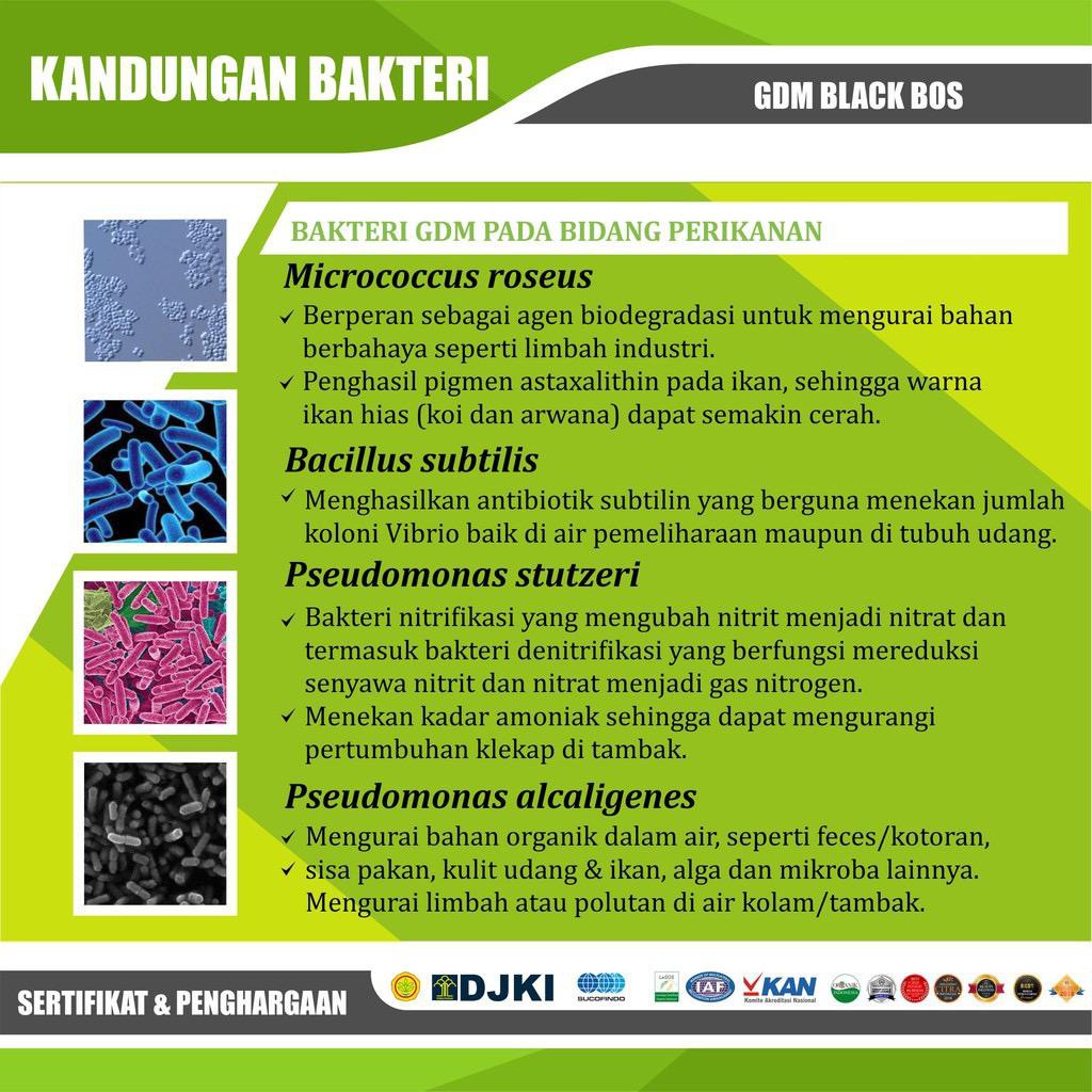 GDM Black BOS Nutrisi Tanaman dan Perikanan 1kg