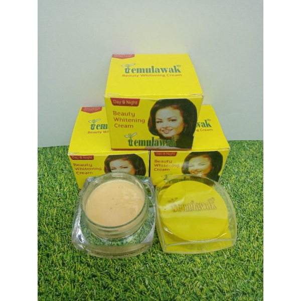 CREAM TEMULAWAK BEAUTY / POT KACA ORIGINAL ECER