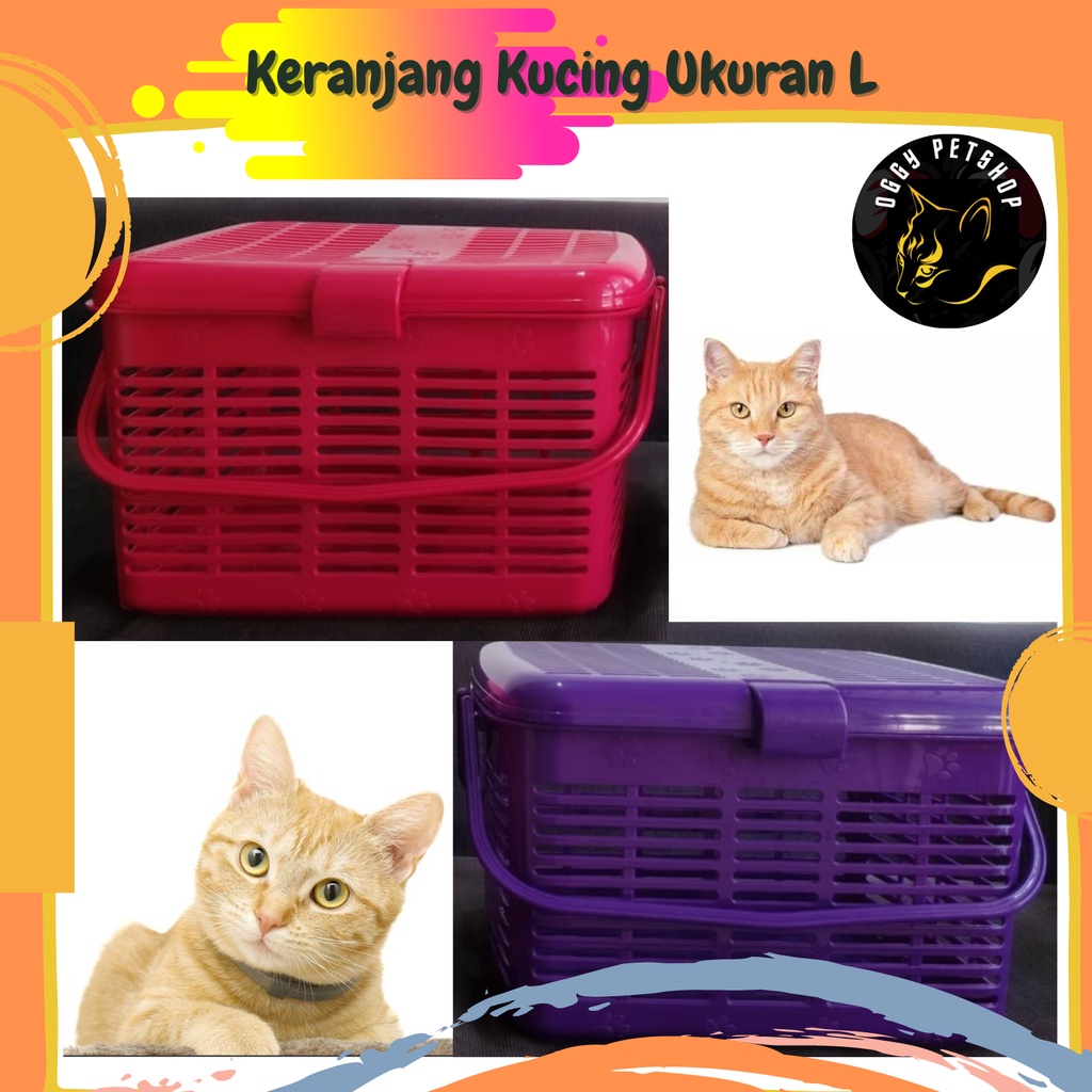 KERANJANG Kucing dan Anjing Bukan RIO Ukuran L (40x30x26.5)