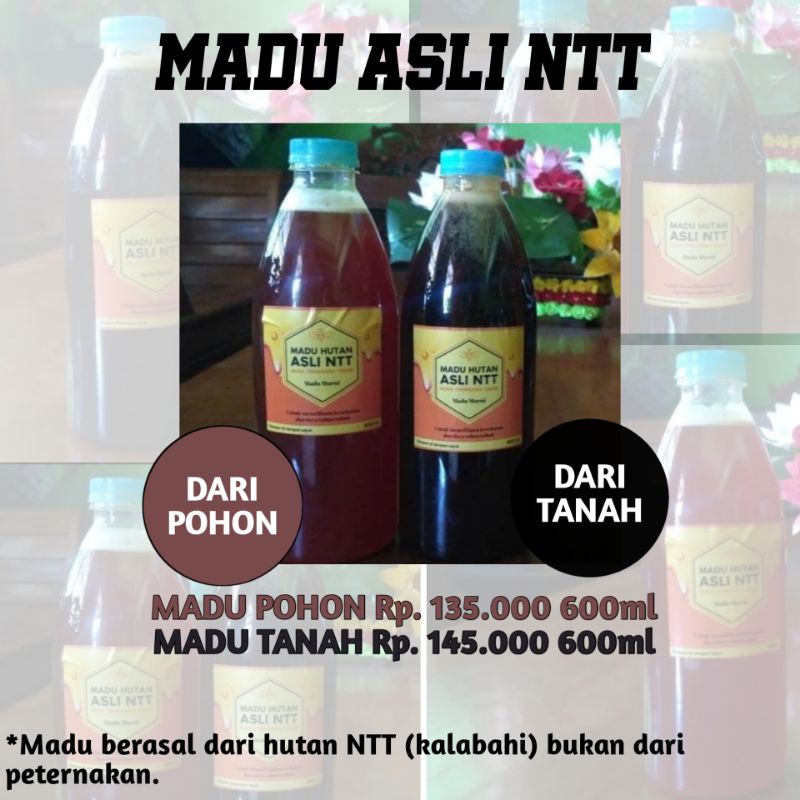 

MADU ASLI DARI HUTAN NTT