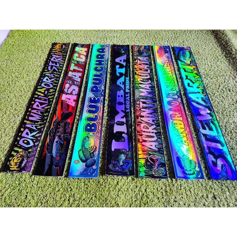 STIKER AKUARIUM HOLOGRAM IKAN CHANNA