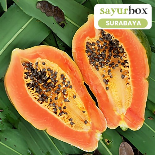 

Pepaya Bangkok Conventional 1 pcs (Sayurbox) - SURABAYA