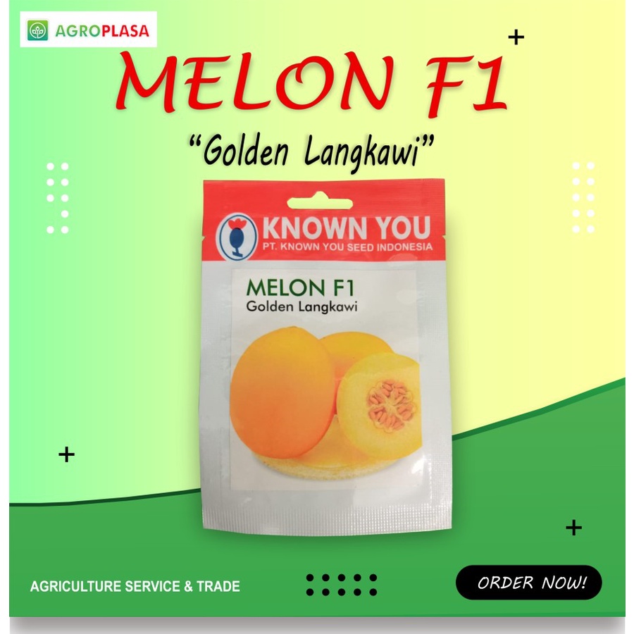 Benih Melon F1 Golden Langkawi - Known You Seed