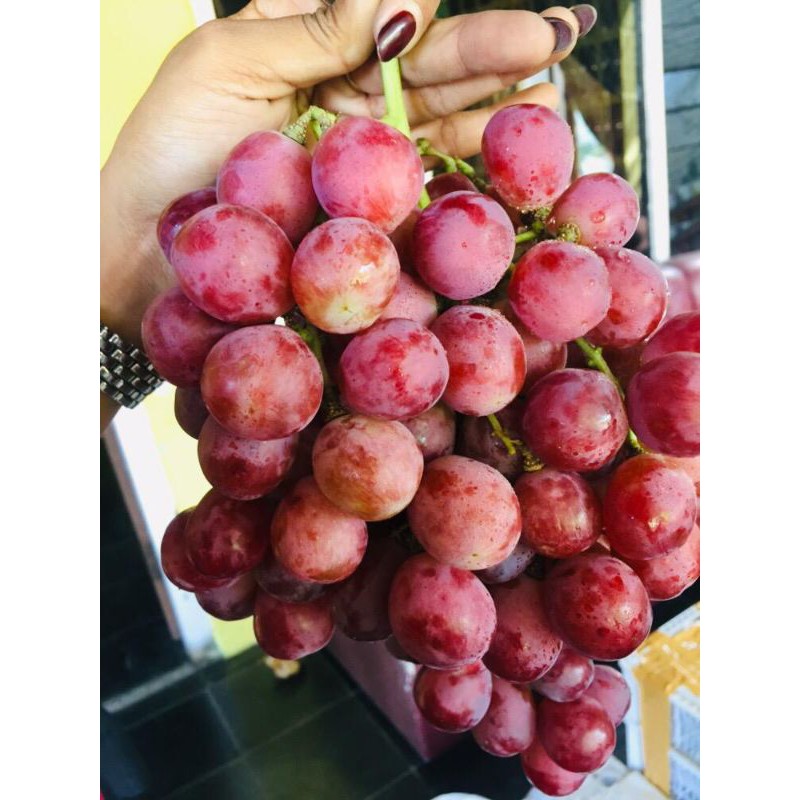 

anggur merah red globe