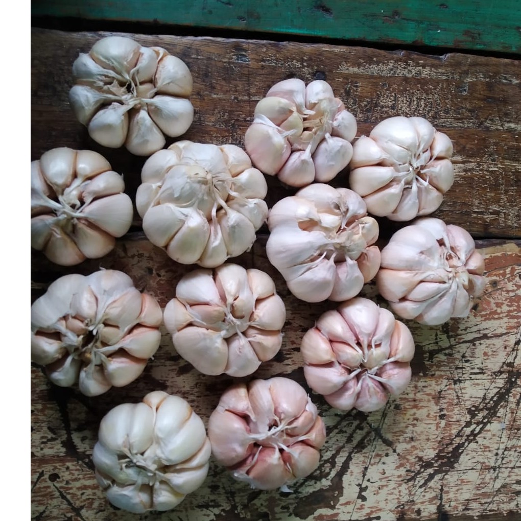 

Bawang Putih Banci Bersih 1000gram