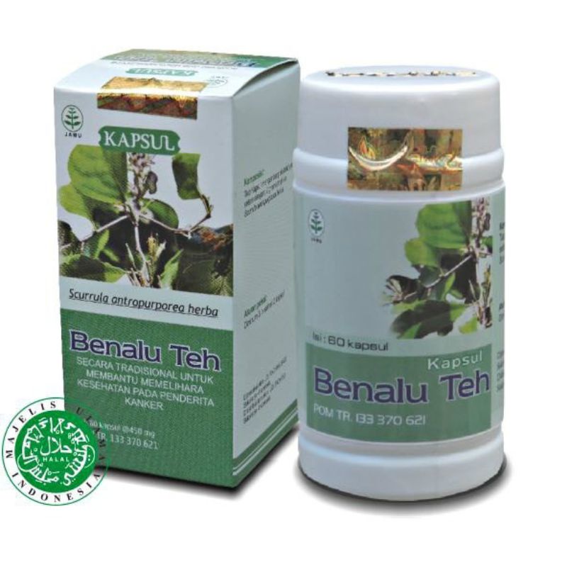 

Teh Benalu / Extrak Benalu tea /Obat tumor & kanker / original produk berkwalitas /isi 60 kas extrak