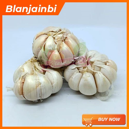 

Bawang Putih Bandung Area