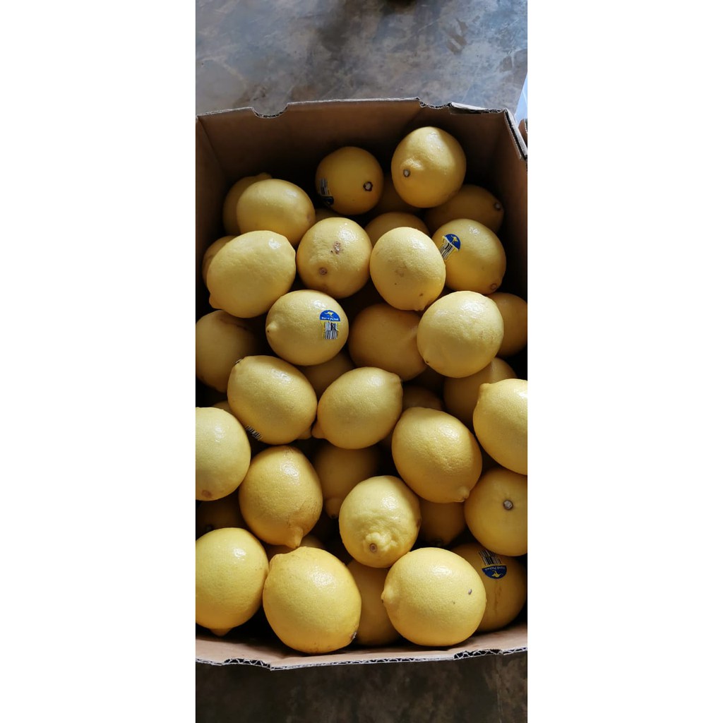 

Buah Lemon Australia