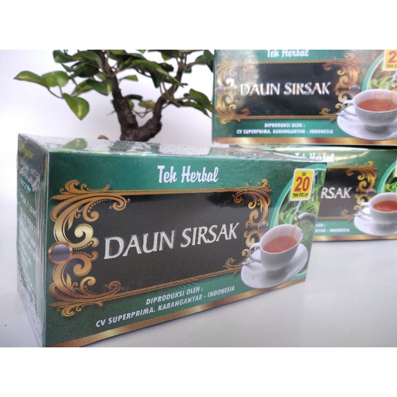 

Teh daun sirsak