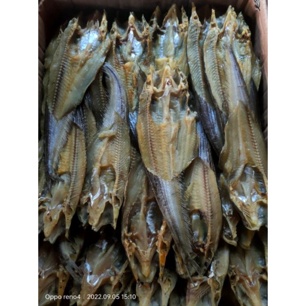 

Ikan asin lais kuning