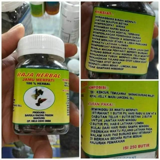 Raja Herbal Jamu Herbal Khusus Merpati Shopee Indonesia