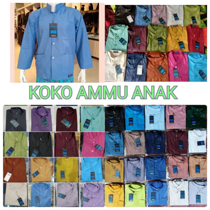 Grosir koko ammu kodian
