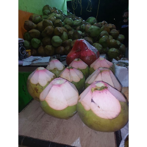 

KELAPA IJO UKURAN BESAR