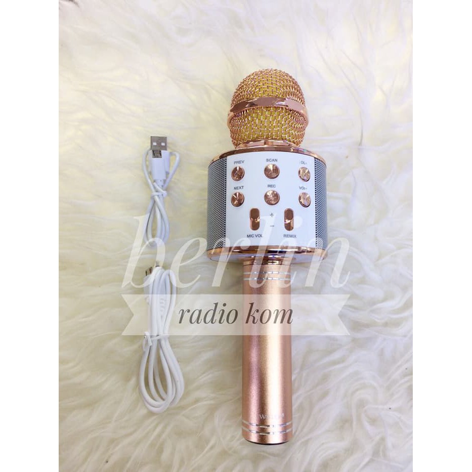 TERGREGET  Wster Original Mic Bluetooth Wireles Karaoke Smule Micropon Ws-858 - AK18